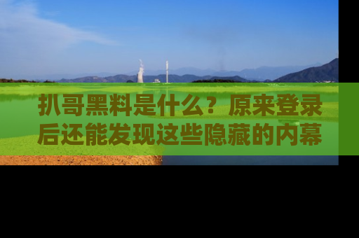 扒哥黑料是什么?原来登录后还能发现这些隐藏的内幕!