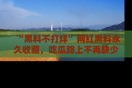 “黑料不打烊”网红黑料永久收藏,吃瓜路上不再缺少惊喜与乐趣