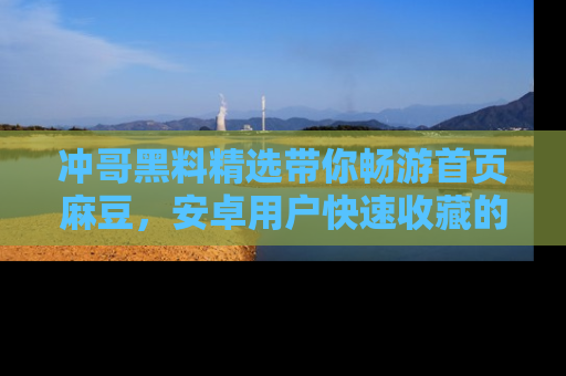 冲哥黑料精选带你畅游首页麻豆，安卓用户快速收藏的秘密武器！