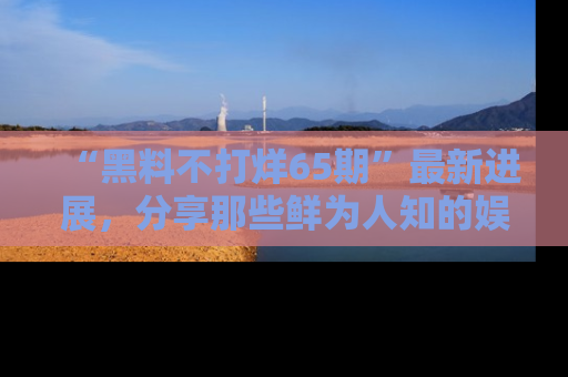 “黑料不打烊65期”最新进展,分享那些鲜为人知的娱乐八卦