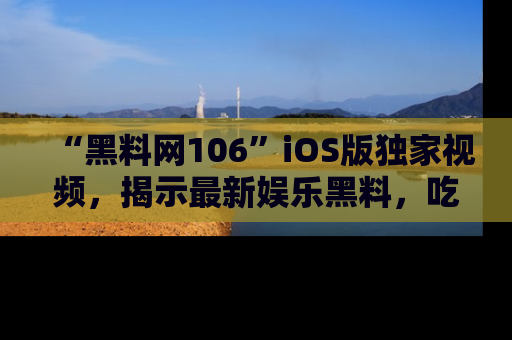 “黑料网106”iOS版独家视频,揭示最新娱乐黑料,吃瓜不停!