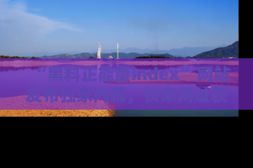 “黑料正能量index”网站发布独家内幕,快来网址获取精彩内容吧!