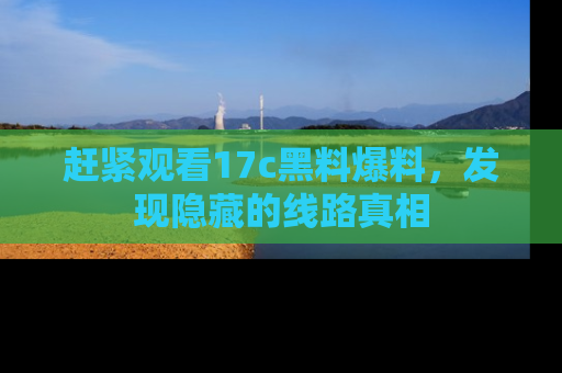赶紧观看17c黑料爆料，发现隐藏的线路真相