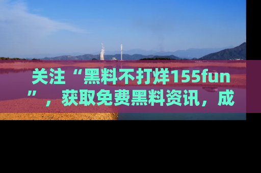 关注“黑料不打烊155fun”，获取免费黑料资讯，成为吃瓜达人不再难！