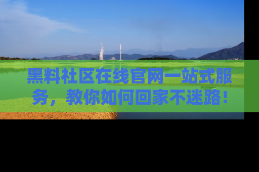 黑料社区在线官网一站式服务,教你如何回家不迷路!