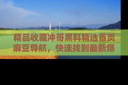 精品收藏冲哥黑料精选首页麻豆导航，快速找到最新爆料