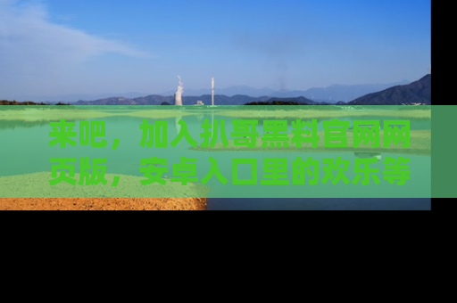 来吧，加入扒哥黑料官网网页版，安卓入口里的欢乐等着你！