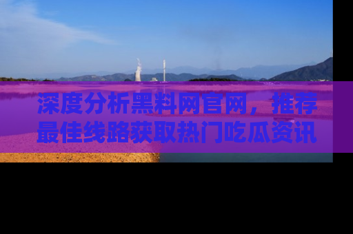 深度分析黑料网官网，推荐最佳线路获取热门吃瓜资讯