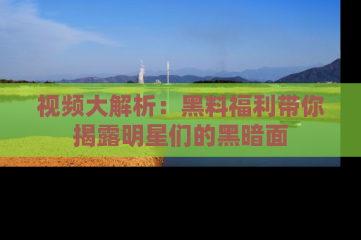 视频大解析：黑料福利带你揭露明星们的黑暗面