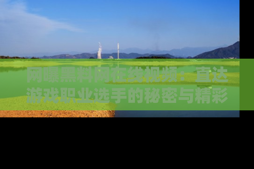 网曝黑料网在线视频：直达游戏职业选手的秘密与精彩动漫片段！