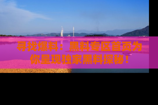 寻找爆料:黑料专区首页为你呈现独家黑料探秘!