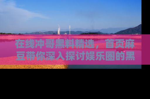 在线冲哥黑料精选,首页麻豆带你深入探讨娱乐圈的黑暗面