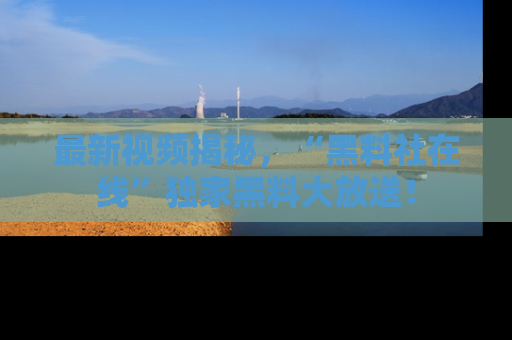 最新视频揭秘,“黑料社在线”独家黑料大放送!